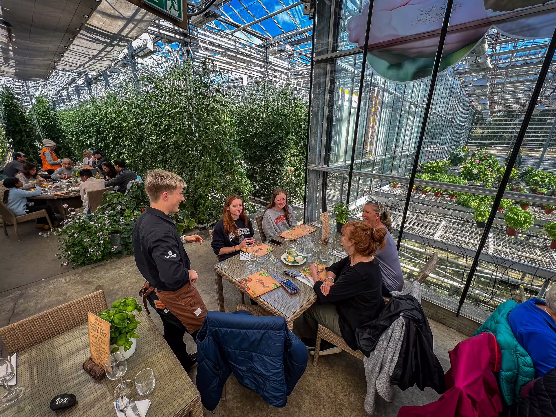 Visitors enjoy a unique dining experience among lush greenery in a Friðheimar greenhouse, part of the Golden Circle Adventure tour.