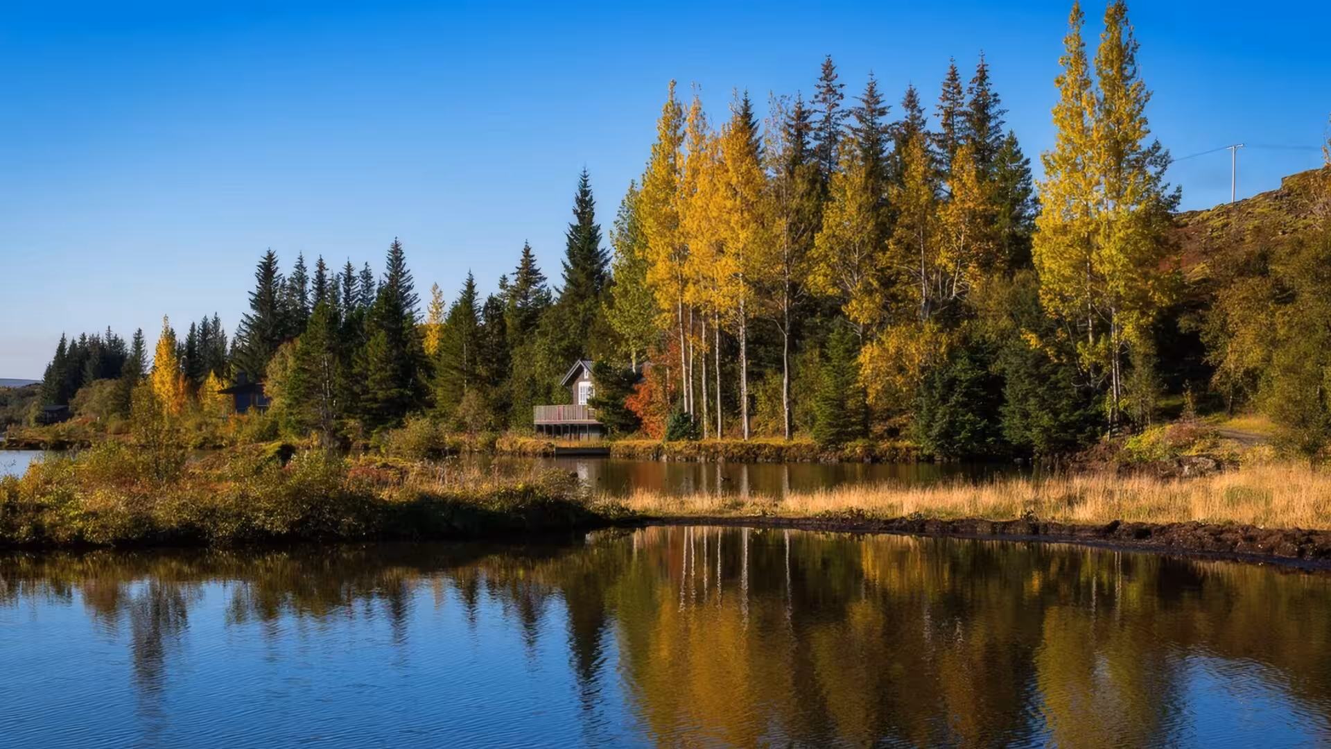 Calm lake reflecting autumn trees and a small cabin near Fridheimar Farm, Iceland on a sunny day