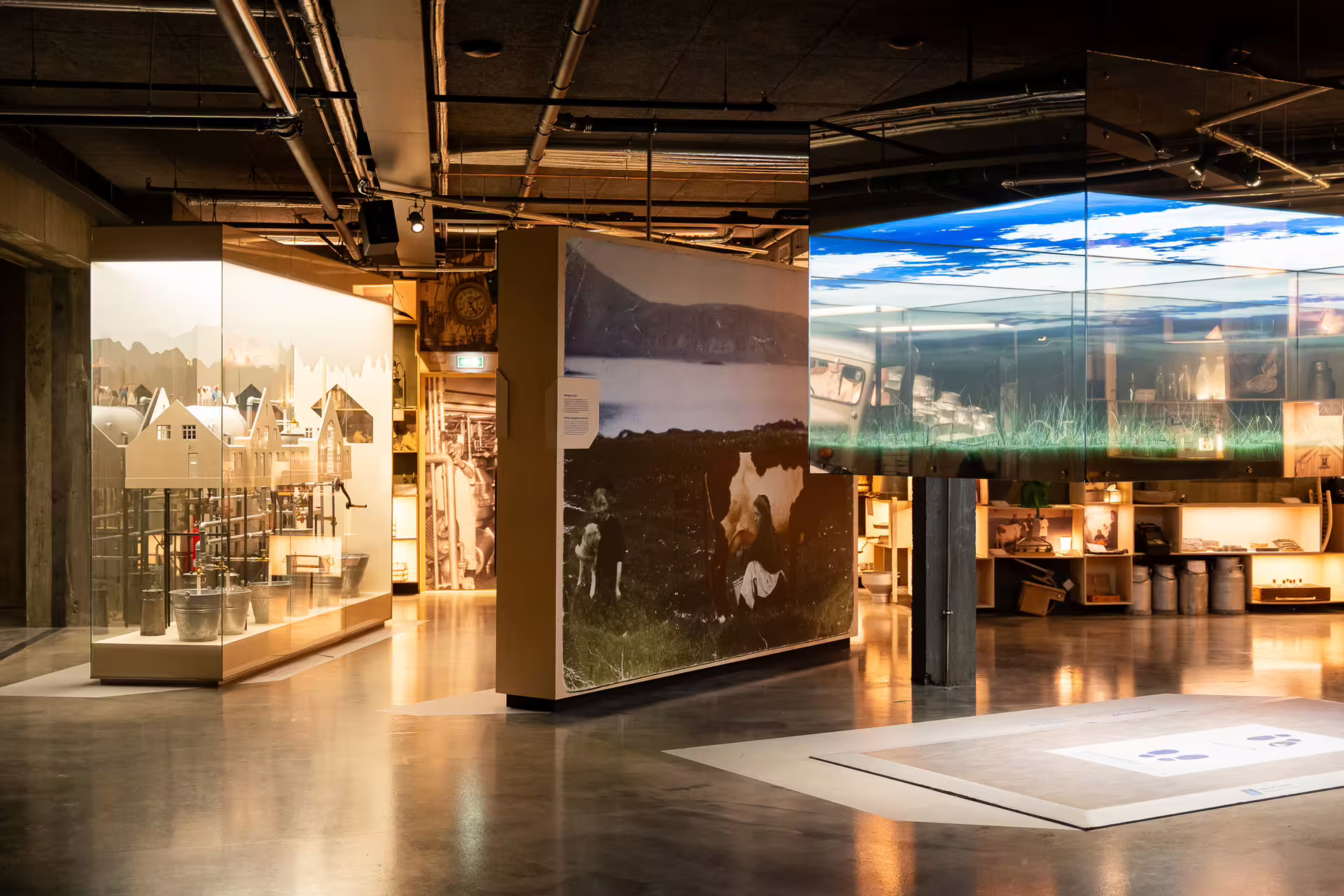 Modern museum exhibition hall with illuminated display cases, large photographs, and artifacts on shelves