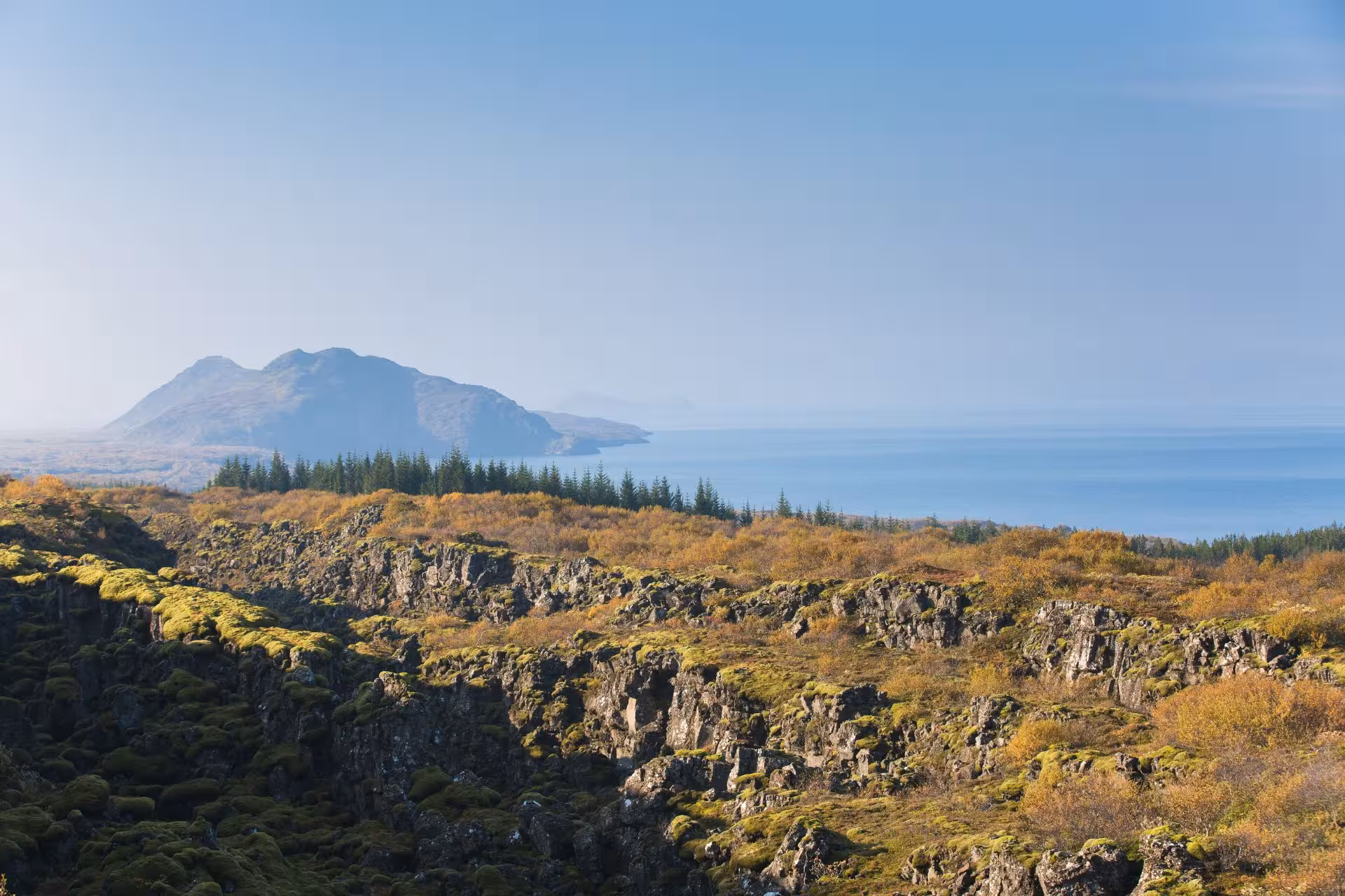 Moss-covered lava fields at Þingvellir with Lake Þingvallavatn and mountain in Iceland's Golden Circle