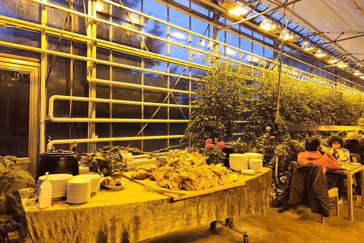 Buffet dinner spread inside a greenhouse with plants and guests dining on Golden Circle tour