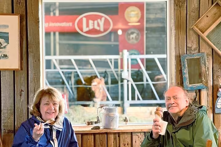 Couple enjoying ice cream inside a farm barn on Iceland Golden Circle tour with cows visible behind window