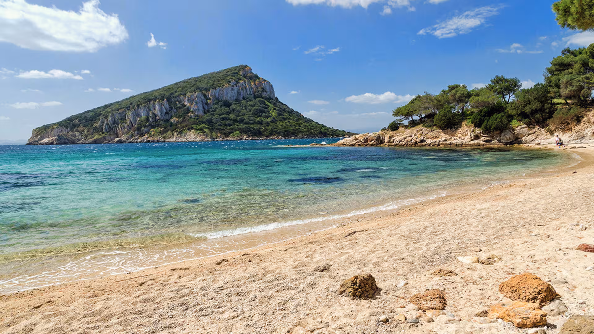 Idyllic Golfo Aranci beach with turquoise waters and lush greenery, perfect for a RIB tour with dolphin sightings.