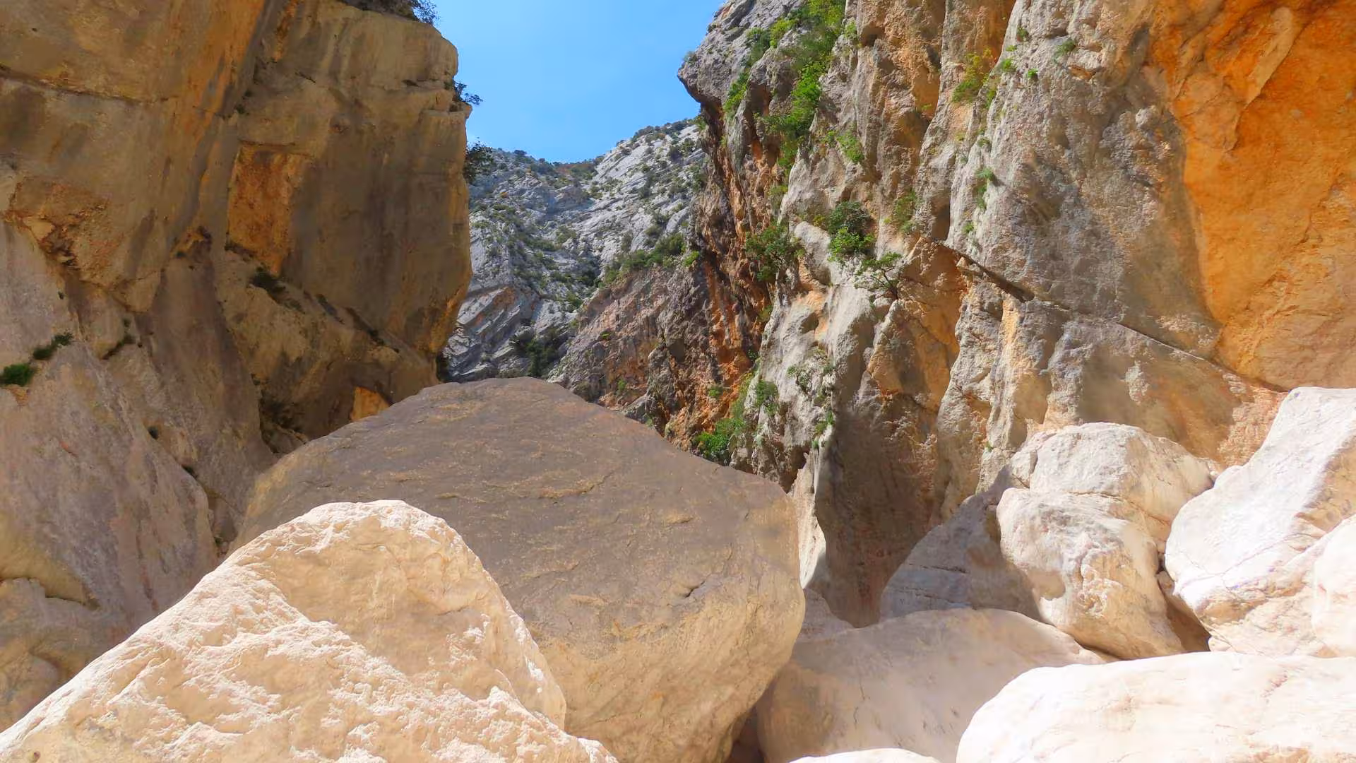 Explore the rugged beauty of Gorropu Canyon's towering cliffs on a trekking tour from Cala Gonone with convenient transfer.
