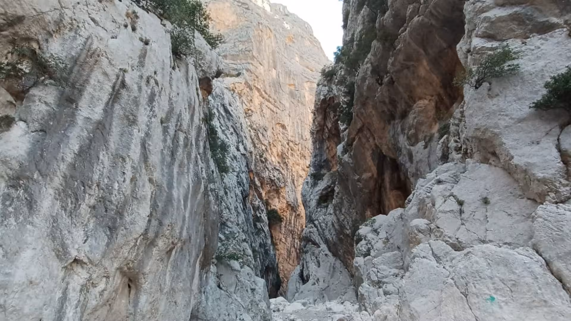 Narrow rocky passage through the towering cliffs of Gorropu Canyon in Sardinia.