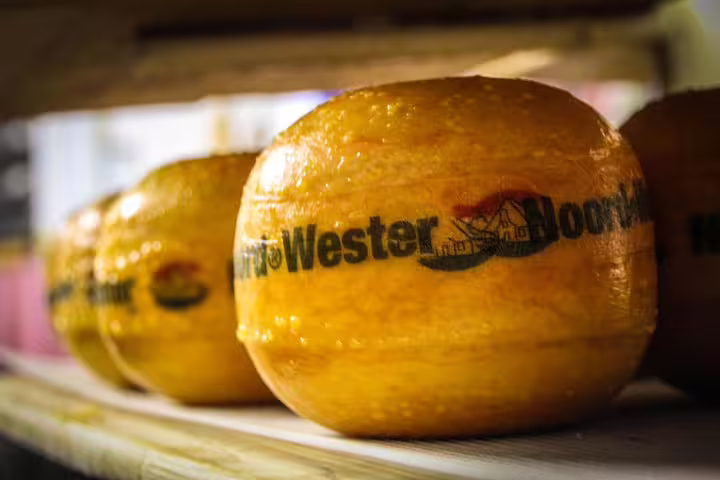 Close-up of Gouda cheese wheels in Amsterdam, perfect for a walking tour with cheese tasting experience.