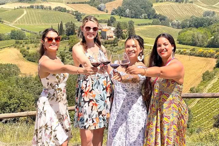 Group of friends toasting with red wine amid scenic vineyards on a Tuscany wine tour from Florence.