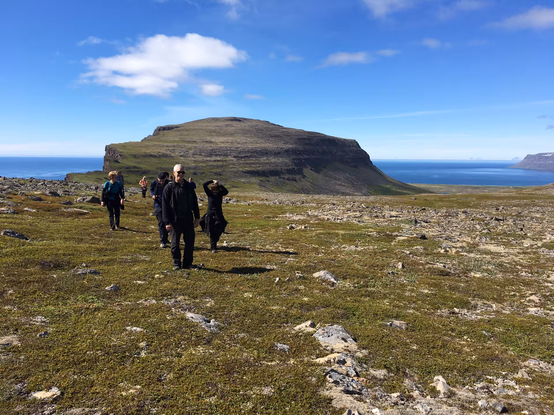 Guided hike across Hornstrandir’s green tundra with ocean views, Westfjords Iceland wilderness trekking tour