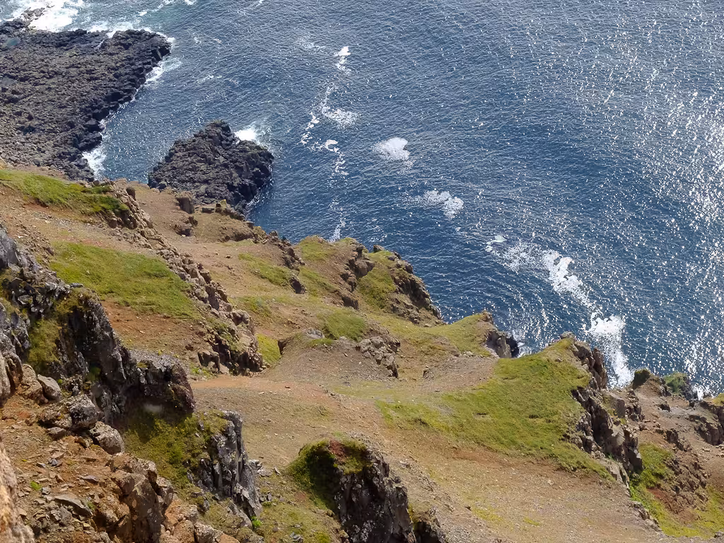 Green sea cliffs dropping into the Atlantic in Hornstrandir Nature Reserve, Westfjords Iceland hike