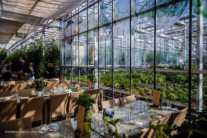 Greenhouse restaurant with lush green plants, glass walls, and set dining tables with wicker chairs