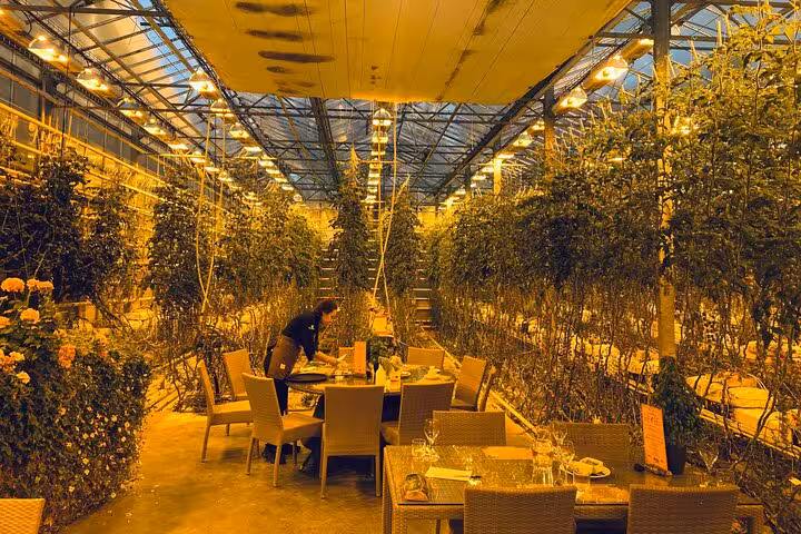 Dining tables set among tall greenhouse plants under warm golden grow lights