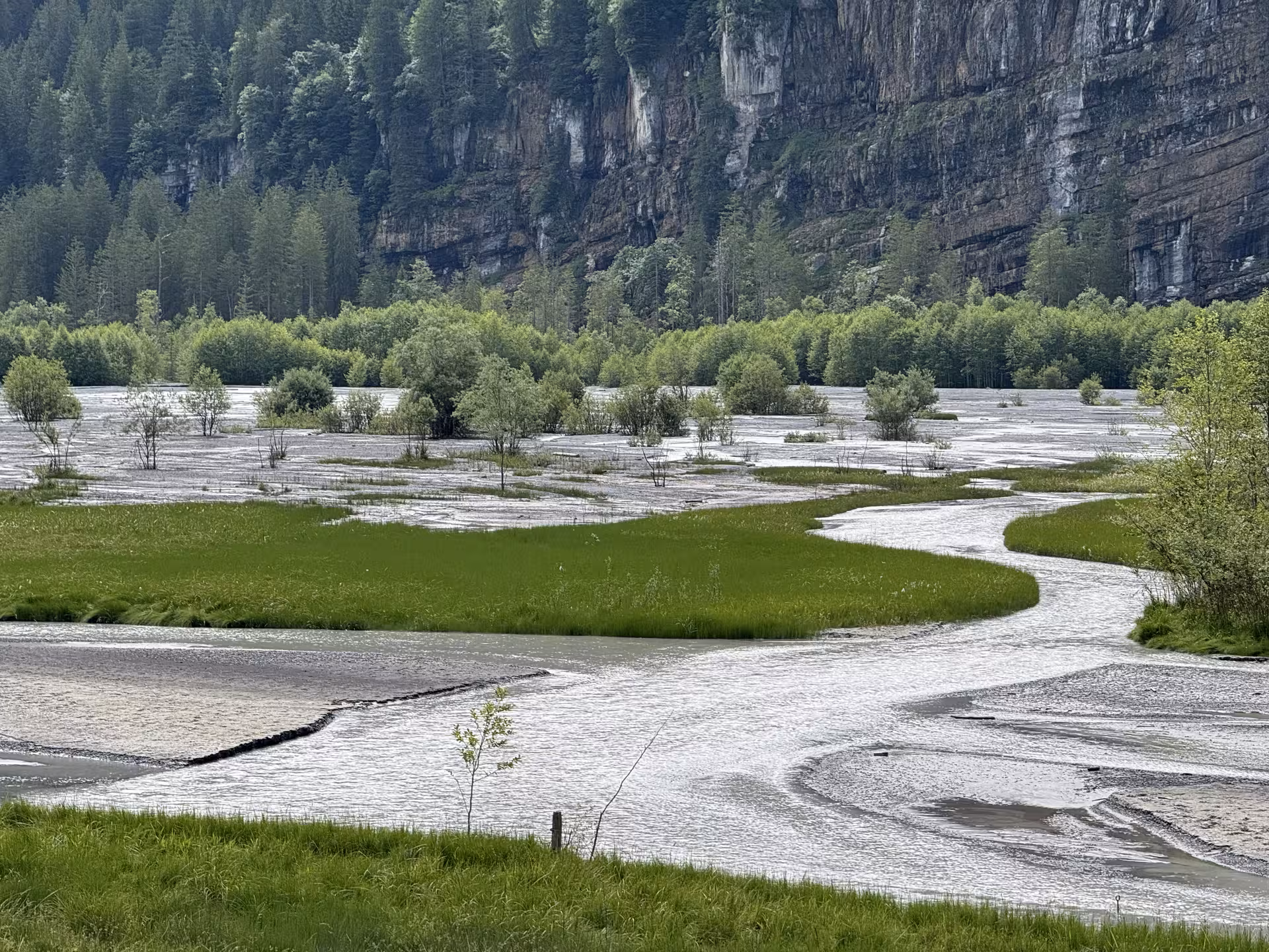 Braided alpine river and green meadows below cliffs on Griesalp UNESCO alpine valley E-bike tour