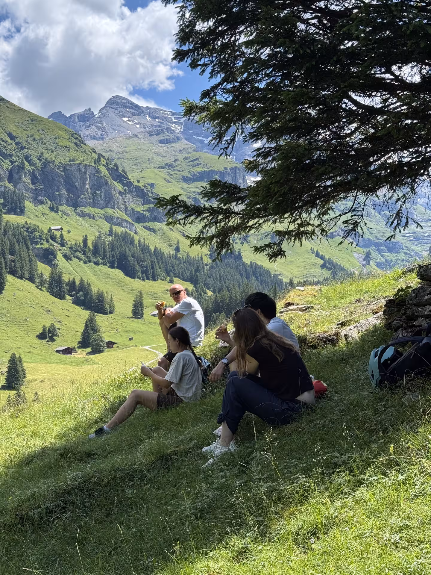Riders resting under a pine with mountain views on the Griesalp UNESCO alpine valley E-bike tour