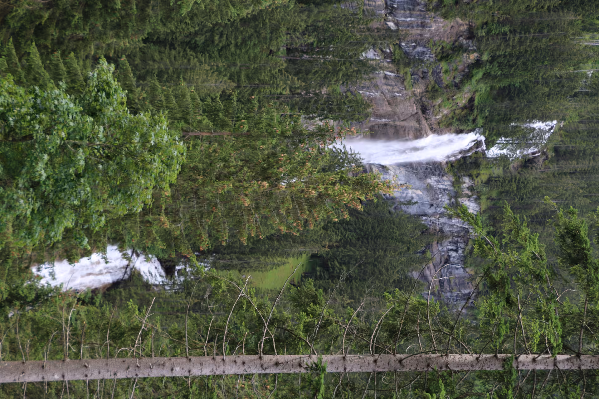 Waterfall rushing through dense forest in the Griesalp UNESCO alpine valley, scenic stop on an e-bike tour