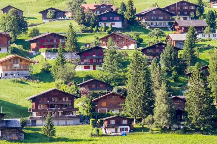 Charming alpine chalets nestled in lush greenery of Grindelwald on private day trip tour.