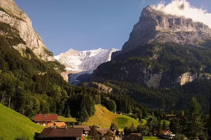 Grindelwald valley with alpine chalets, dense forests, and snow-capped mountain peaks under a clear blue sky