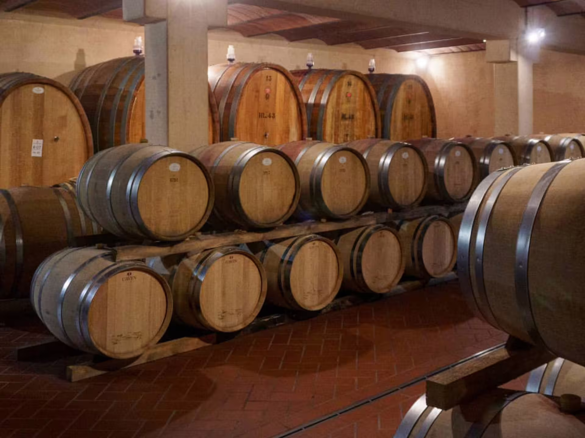Wooden wine barrels aging in a Grosseto winery cellar, highlighting the traditional winemaking process in Tuscany.