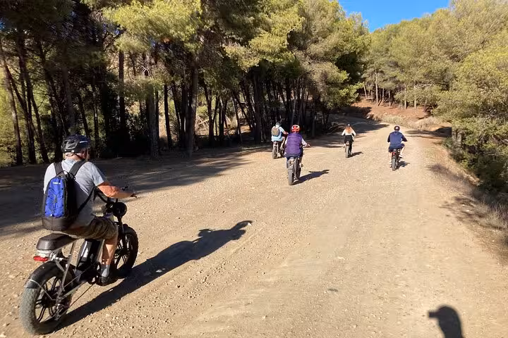 Group riding e-fat bikes on wide gravel trails through pine woods during a 4-hour e-bike rental for coastal views