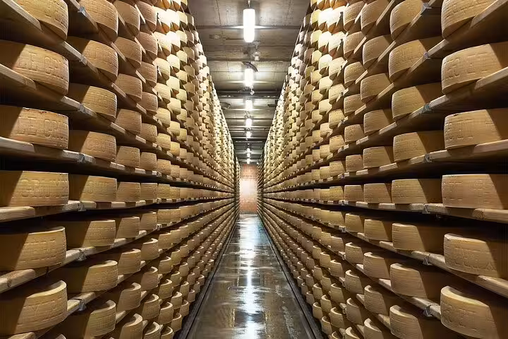 Rows of aging Gruyères cheese wheels in a storeroom, part of the magical cheese tasting experience.