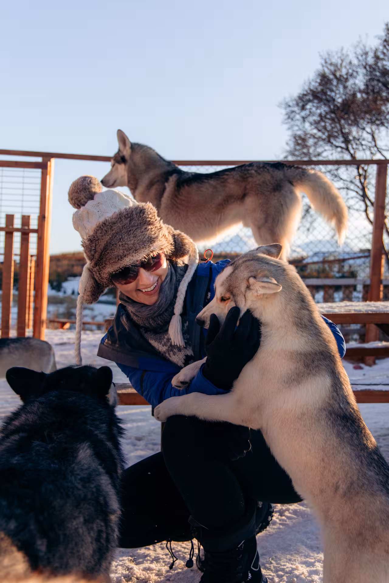 Guest cuddling friendly huskies at snowy Arctic kennel on private aurora and husky adventure tour