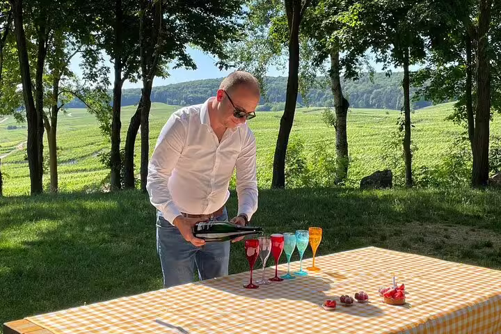 Guide pours Champagne for outdoor tasting and lunch stop on small-group Champagne day tour from Paris