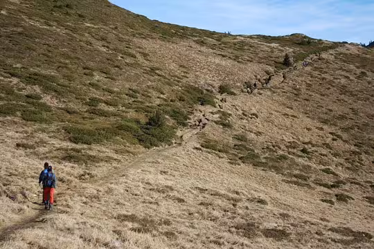 Hiker ascending a grassy mountain trail toward Ciucas Peak in Romania on a sunny day