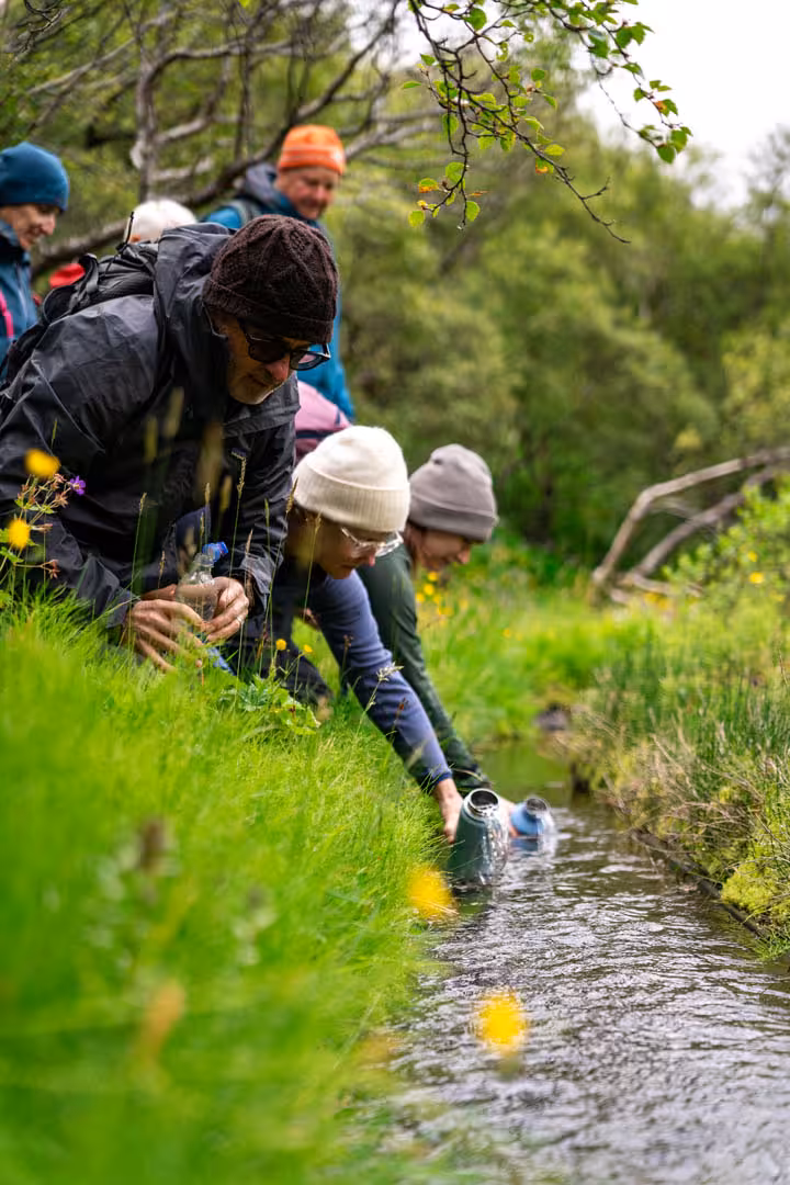 Hikers collecting water from a stream in lush green Iceland landscape during guided trek