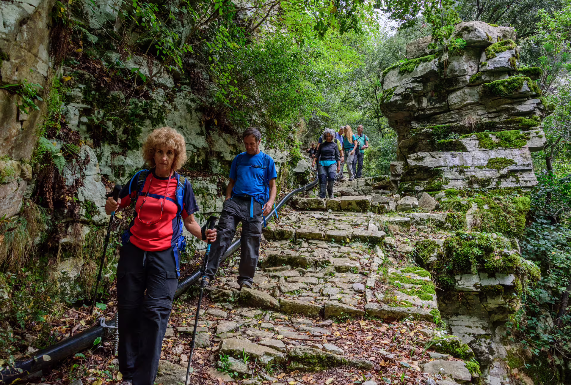 Guided hikers descend stone steps in Ridomo Gorge, Taygetos, on a lush forest trekking tour in Mani, Greece