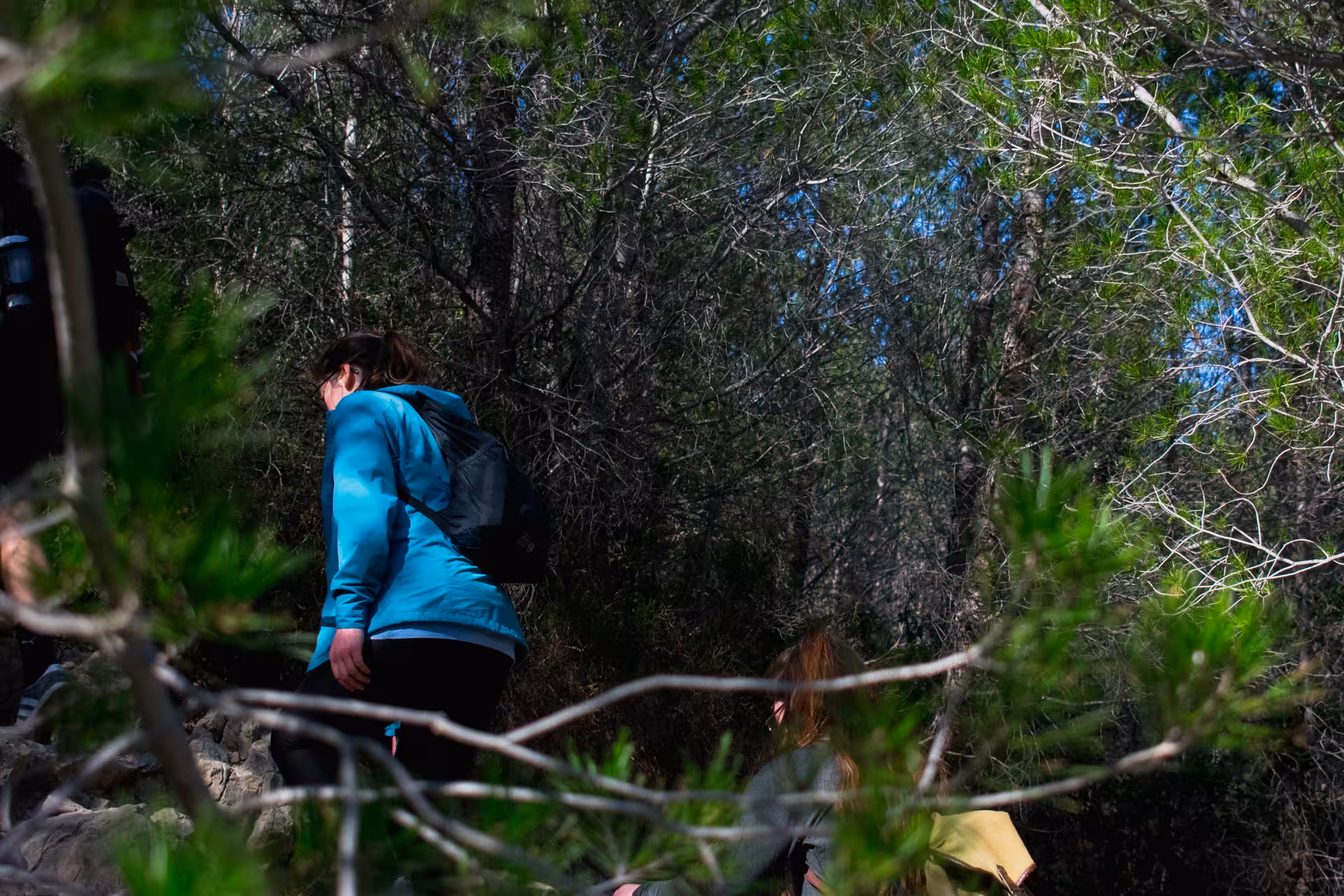 Guided hiking group climbing a rocky pine forest path on the Calanques National Park trek from Luminy