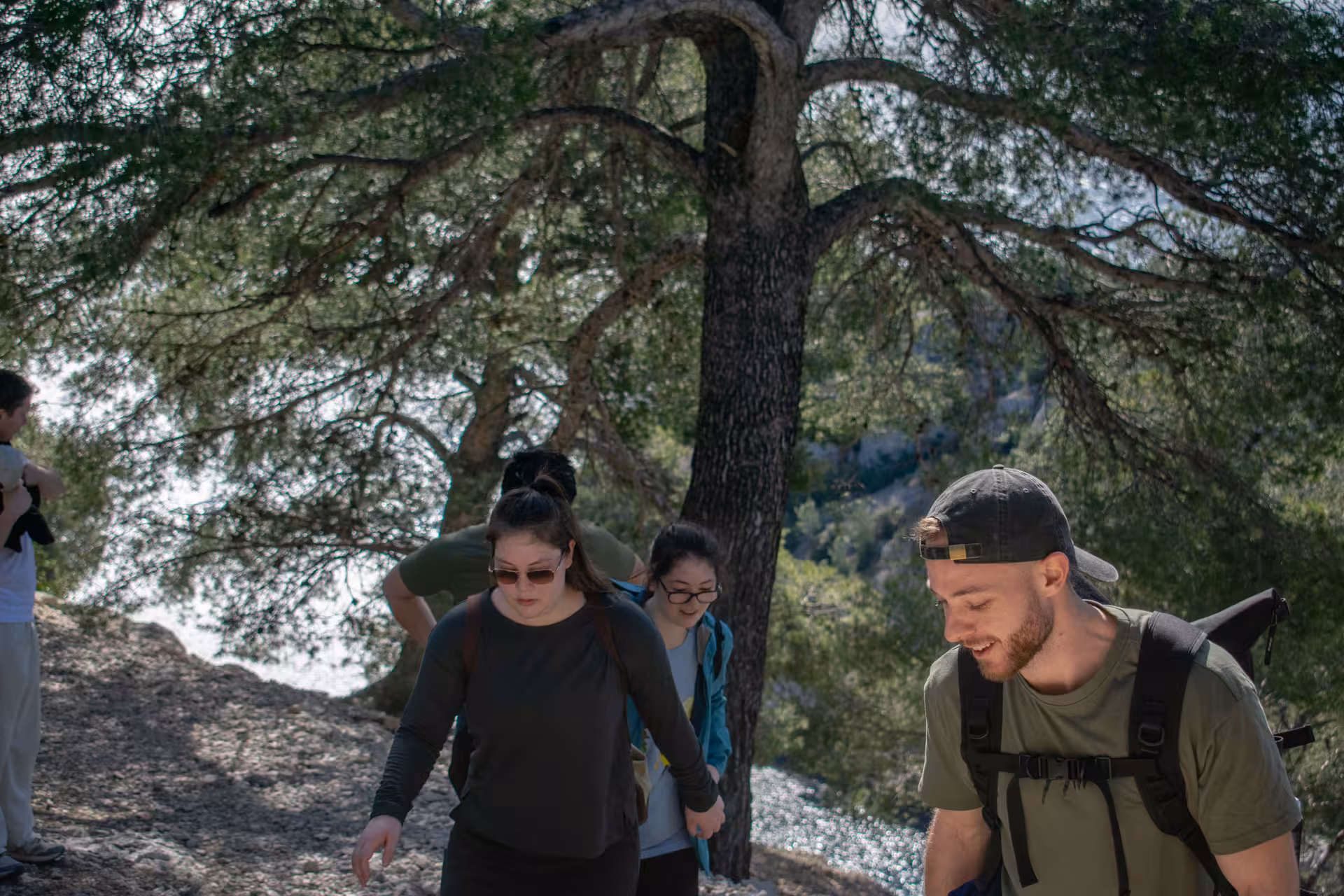 Small group trekking the shaded Luminy trail in Calanques National Park near Marseille, guided hike