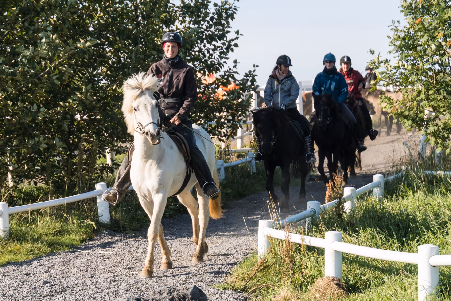 Smiling rider on white Icelandic horse leads group through scenic Hveragerdi meadows on guided trail tour