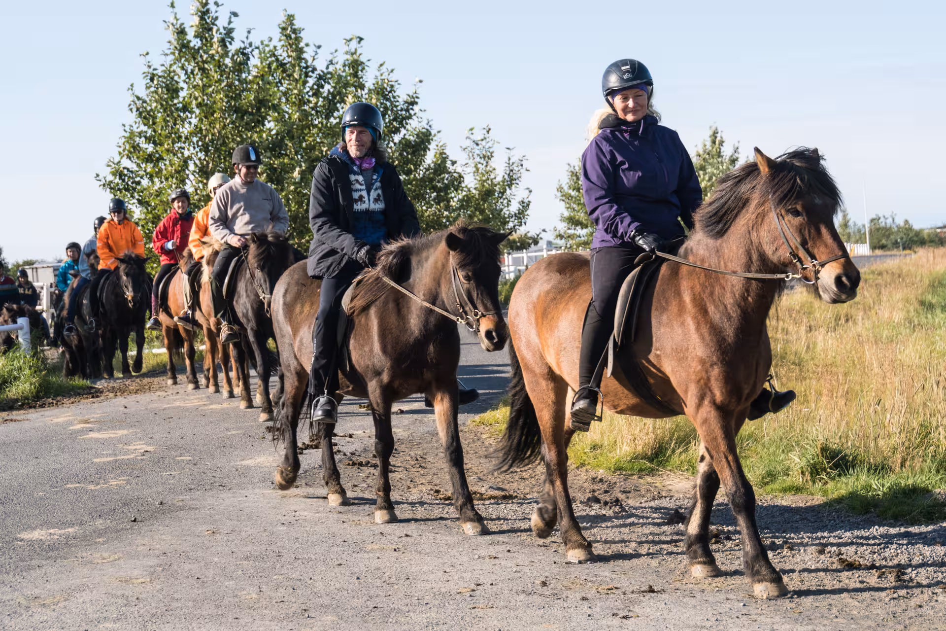 Group of happy riders on Icelandic horses trekking along sunny Hveragerdi countryside path during guided tour