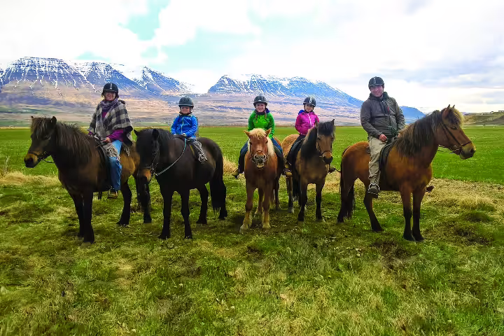 Group of five riders on Icelandic horses in green field with snow-capped mountains in Skagafjordur