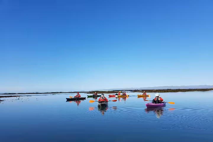 Group of kayakers paddling colorful kayaks on calm waters in Iceland under a clear blue sky