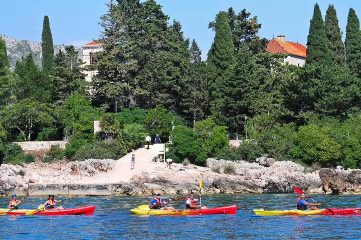 Guided sea kayaking tour along a rocky coastline, paddlers in colorful kayaks on clear blue water