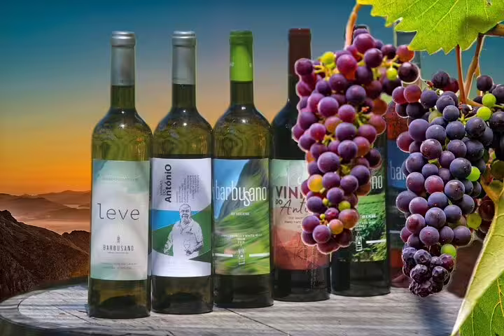 Wine bottles and grapes against a scenic sunset backdrop, highlighting the Guided Tour Beyond Vineyards Cabo Girão Skywalk and 4x4 Adventure.