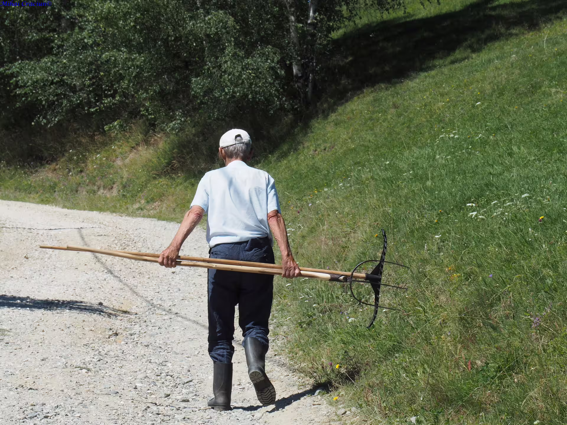 Elderly farmer carrying a pitchfork along a gravel path beside a green hillside in Piatra Craiului