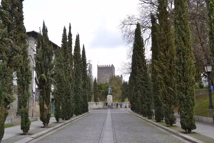 Majestic pathway lined with tall cypress trees leading to Guimarães Castle, featured in the Braga and Guimarães tour.