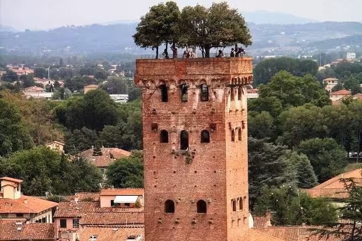 Scenic view of Guinigi Tower in Lucca topped with trees, a highlight of the Lucca and Pisa full day tour.