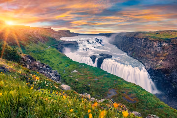 Gullfoss waterfall cascading into canyon with wildflowers and golden sunset sky in Iceland