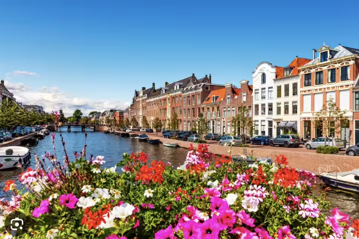 Scenic view of Haarlem's picturesque canal lined with historic Dutch architecture and vibrant flowers, perfect for a walking tour.