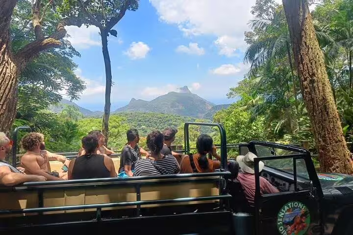 Tourists enjoying a breathtaking view of Tijuca Rainforest's mountains from an open Jeep on a half-day tour.