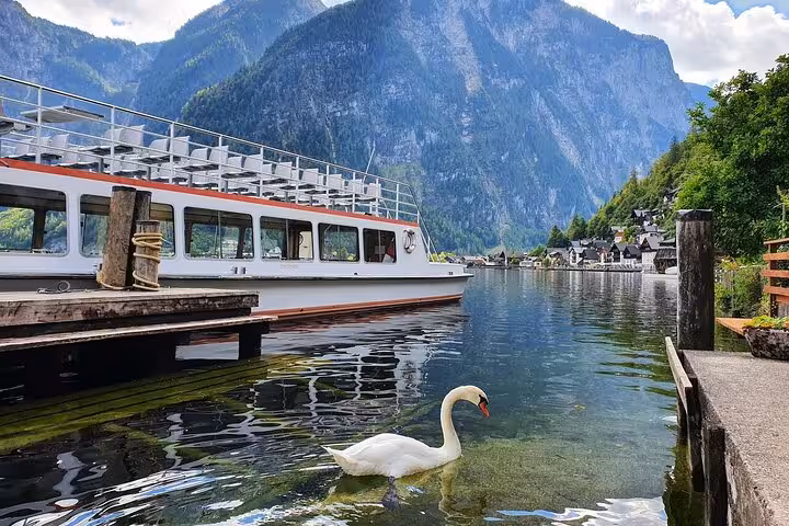 Swan on Hallstatt Lake beside docked boat, Alpine mountains and village on small-group day trip from Vienna