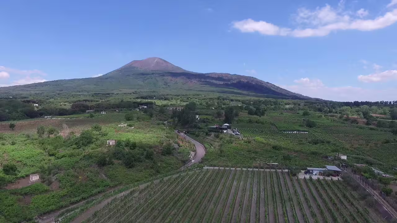 Panoramic view of vineyard fields and educational farm buildings stretching toward a green volcanic mountain under a bright blue sky