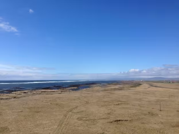 Vast golden lava fields meeting the coastline near Hekla Volcano under a clear blue sky