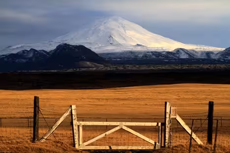 Snow-capped Hekla Volcano rising above golden plains with a rustic wooden gate in Iceland