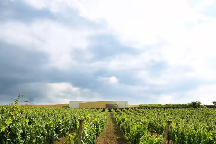 Lush vineyard stretching towards a modern winery under dramatic skies in Heraklion, ideal for wine tasting tours.