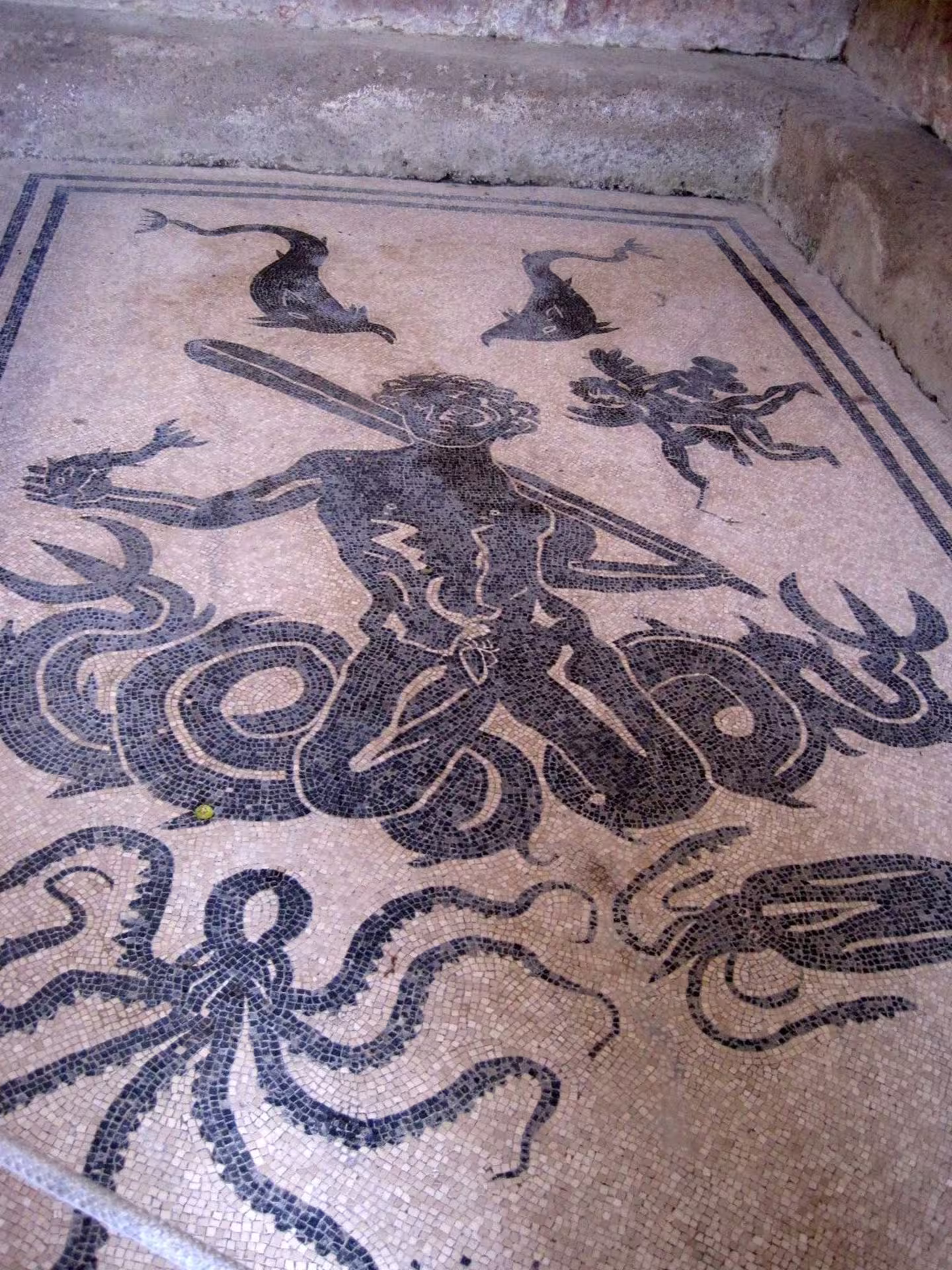 Herculaneum floor mosaic with sea deity and octopus, seen on Pompeii and Herculaneum group tour from Naples