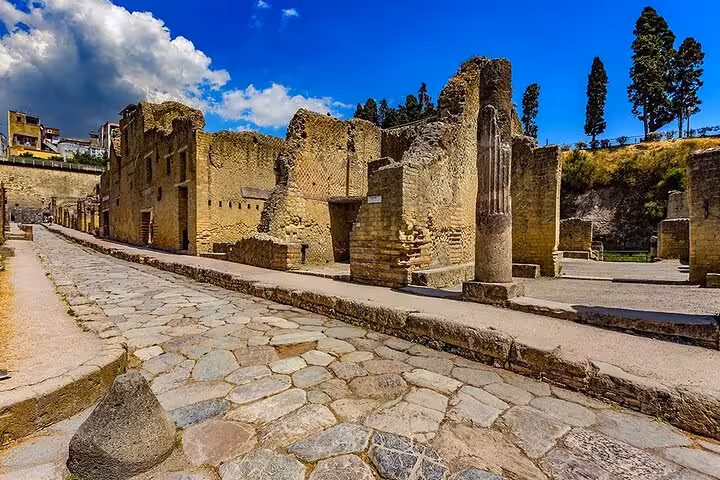 Explore the ancient ruins of Herculaneum on a guided tour from Naples, featuring well-preserved stone structures and streets.