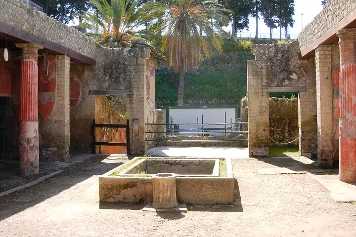 Experience the vivid colors of Herculaneum's preserved structures on a guided tour with included lunch and ticket.